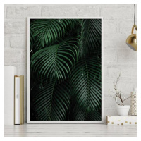 Plakát s přírodním motivem palmových listů