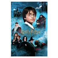 Umělecký tisk Harry Potter - Kámen mudrců, (26.7 x 40 cm)