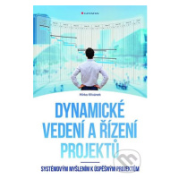 Dynamické vedení a řízení projektů (Systémovým myšlením k úspěšným projektům) - kniha z kategori