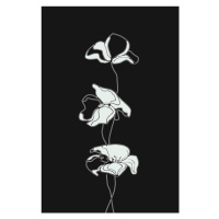 Ilustrace blackflowers, MadKat, 26.7x40 cm