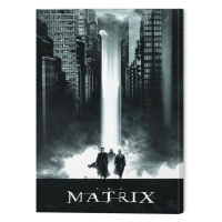 Obraz na plátně The Matrix - Lightfall, (60 x 80 cm)