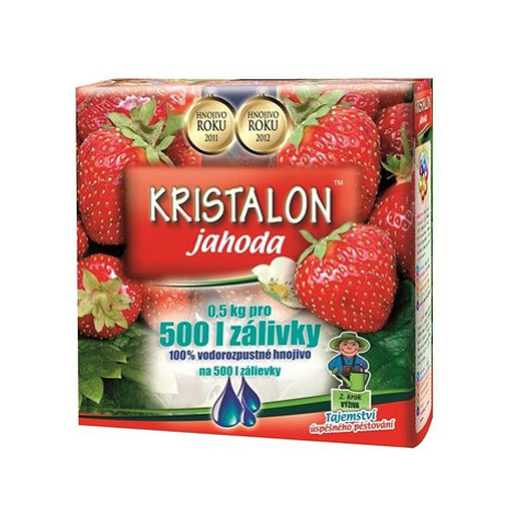 KRISTALON Hnojivo - jahoda 0,5 kg
