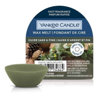 Vosk YANKEE CANDLE 22g Silver Sage & Pine