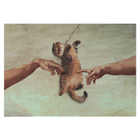 Ilustrace Touch of the Kitty, Artem Pozdniakov, 40 × 30 cm