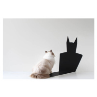 Ilustrace Conceptual ragdoll cat looking at bat shadow, pchyburrs, 40 × 26.7 cm