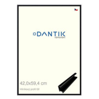 DANTIK rámeček 42 × 59,4, ALU profil 7002 Černý matný plexi čiré