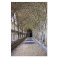 Fotografie Cloister in Gloucester Cathedral, England, poliki, (26.7 x 40 cm)