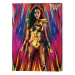 Obraz na plátně Wonder Woman 1984 - Neon Static, 2 - 60×80 cm