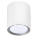 NORDLUX Landon Smart Long stropní svítidlo bílá 2110850101