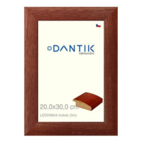 DANTIK rámeček 20 × 30, LEDVINKA hnědý sklo čiré