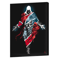 Obraz Assassin's Creed - Legacy, plátno, (30x40) - ABYDCO461