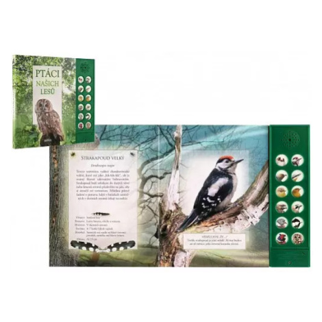 Zvuková knížka Ptáci našich lesů na baterie 22,5x21cm CZ text ALBATROS