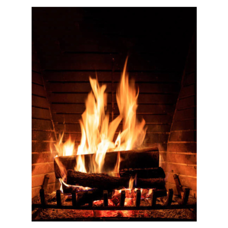 Fotografie Fireplace burning wood logs, cozy warm home christmas time, Rawf8, 30 × 40 cm