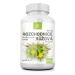 Allnature Rozchodnice Rhodiola Rosea 500mg cps.60