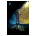 Umělecký tisk Harry Potter - Dobby, (26.7 x 40 cm)
