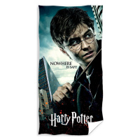 Dětská osuška Harry Potter Nebezpečí číhá všude