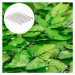 Blumfeldt Fency Bright Leaf, plot na ochranu před pozorováním, ochrana před větrem, 300 x 150 cm