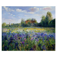 Timothy Easton - Obrazová reprodukce Evening at the Iris Field, (40 x 35 cm)