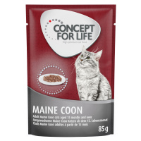 Concept for Life Maine Coon Adult - Vylepšená receptura! - Nový doplněk: 12 x 85 g Concept for L