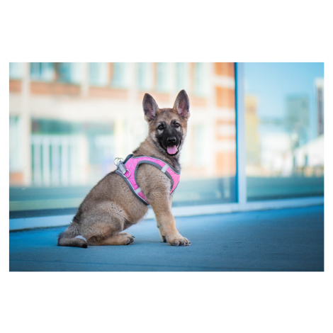 Vsepropejska Neve postroj pro psa s vodítkem | 23 – 49 cm Barva: Šedo-růžová, Obvod hrudníku: 39