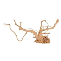 Zolux Spider root přírodní naplavené dřevo 50-60 cm