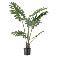 Umělá květina (výška 84 cm) Philodendron – Bloomingville