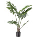 Umělá květina (výška 84 cm) Philodendron – Bloomingville