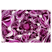 Fotografie Red cabbage portion macro background, Dimitris66, 40 × 26.7 cm