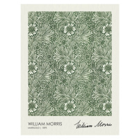 Obrazová reprodukce Marigold (1895), William Morris, 30 × 40 cm