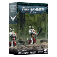 Games Workshop Blood Angels Sanguinary Priest - EN