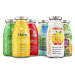 SmoothieDog Mix, 6 × 250 ml