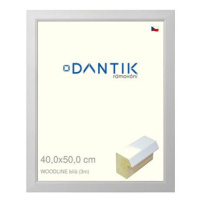 DANTIK rámeček 40 × 50, WOODLINE bílý plexi čiré