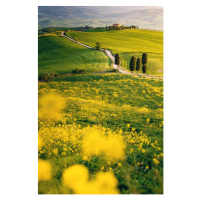 Fotografie Tuscany, springtime in the afternoon. Path,, Francesco Riccardo Iacomino, 26.7 × 40 c