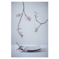 Fotografie The First Cherry Blossom, Inna	Karpova, 26.7 × 40 cm