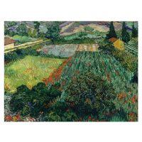 Obrazová reprodukce Field with Poppies - Vincent van Gogh, (40 x 30 cm)