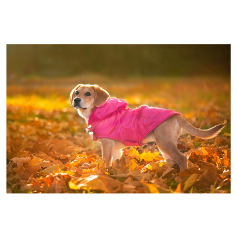 Vsepropejska Winter bunda pro psa s kapucí Barva: Růžová, Délka zad (cm): 40, Obvod hrudníku: 40