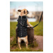 Vsepropejska Tulsi zimní bunda pro psa s postrojem Barva: Černá, Délka zad (cm): 33, Obvod hrudn