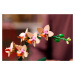 LEGO LEGO® Botanicals Miniaturní orchidej 10343