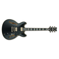 Ibanez JSM20 Black Low Gloss