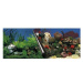 Ebi Photo Decor Stone Coral 120 × 50 cm