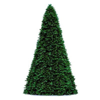 Vánoční stromek DELUXE jedle Bernard 500 cm