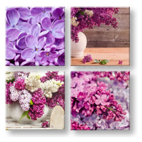 Obraz na stěnu Lilacs