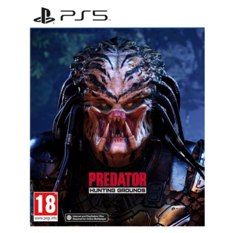 Predator: Hunting Grounds (PS5) Plaion