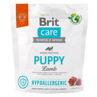 Brit Care Dog Hypoallergenic s jehněčím Puppy 1 kg
