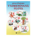 Procvičujeme vyjmenovaná slova - Vlasta Blumentrittová