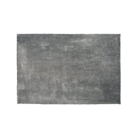 Koberec shaggy 200 x 300 cm světle šedý EVREN, 186349 BELIANI
