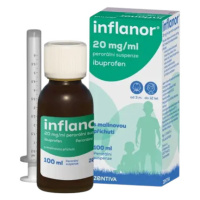 Inflanor 20mg/ml por.sus. 100 ml