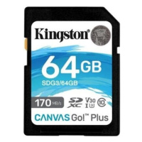 Kingston SDXC Class 10 64GB SDG3/64GB