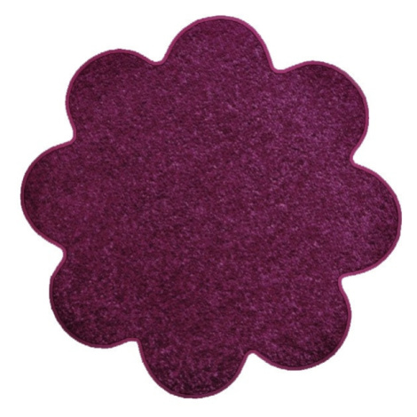 Vopi, Kusový koberec Eton fialový květina, 160x160 kytka, fialová, chodba / předsíň