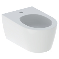 Geberit ONE - Závěsný bidet, 540x370 mm, skrytý přepad, otvor pro baterii, KeraTect, bílá 500.69